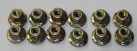 Tail Light Nuts 1969 Coronet