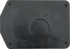 Fuel Filler Tube to Trunk Floor Seal  1968-70 Charger