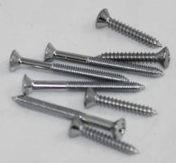 Seat Hinge Cover Screw Kit 1970 B/E-Body