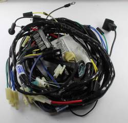 Engine/Forward light harness 1974 A-body V8 before 10-12-73.