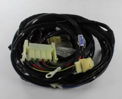 Forward Light Harness 1974 Cuda