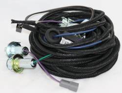 Rear Lamp Harness 1965 Barracuda