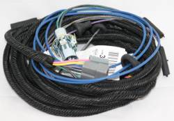 Rear Lamp Harness 1967 Dart Hardtop