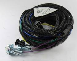 Rear Lamp Harness 1968 Valiant
