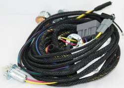 Rear Lamp Harness 1970 Cuda Convertible