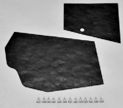 Inner Fender Splash Shields 1966-70 B-Body