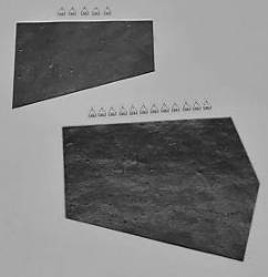 Inner Fender Splash Shields 1970 E-Body
