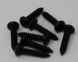 Parking Lamp Lens Screws 1970-71 Dart