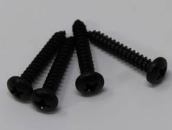 Parking Lamp Screws 1973-74 Plymouth B-Body