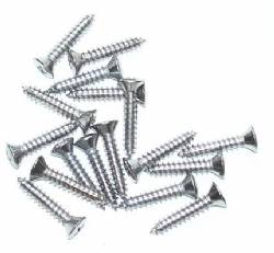 Rear Window Molding Screw Set 1963 B-Body